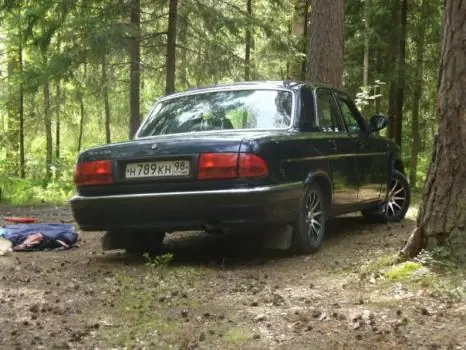 ГАЗ 31105, стоит в лесу