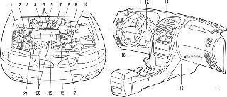Расположение элементов системы впрыска DOHC