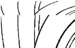 Место зачеканки (1) гайки (2) и шайбы (3) крепления вала привода к ступице переднего колеса