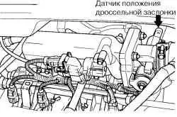 Датчик положения дроссельной заслонки