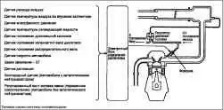 Общие сведения